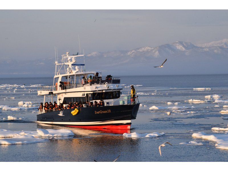 [Hokkaido Shiretoko] Feel free to experience! Drift ice Cruising& bird watching (13:00 departure / 1 hour course)の紹介画像