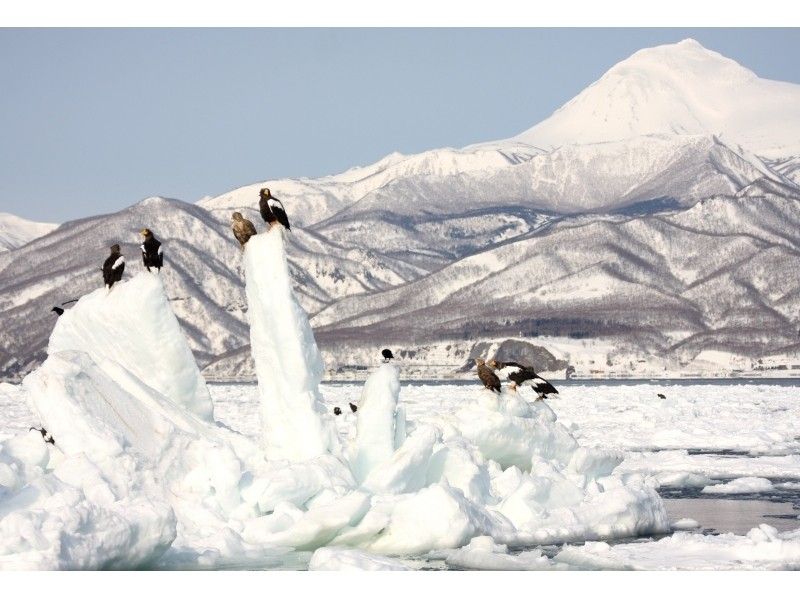 [Hokkaido Shiretoko] Feel free to experience! Drift ice Cruising& bird watching (13:00 departure / 1 hour course)の紹介画像