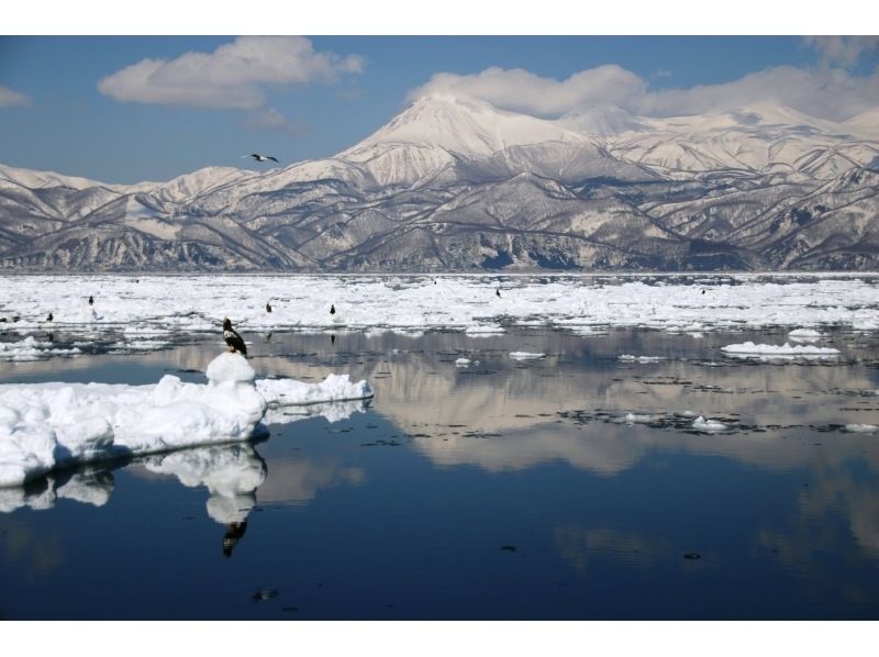 [Hokkaido Shiretoko] Feel free to experience! Drift ice Cruising& bird watching (13:00 departure / 1 hour course)の紹介画像