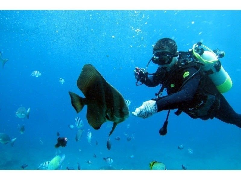 [國家旅行支持註冊商店]藍洞浮潛和乘船體驗潛水♪免費提供最新的GoPro拍攝和餵食！超級夏季特賣進行中の紹介画像