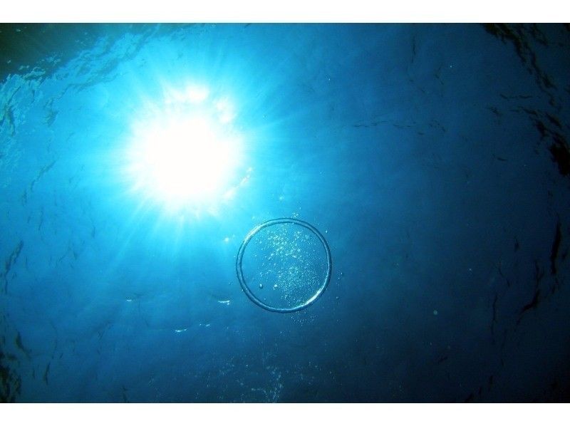 [国家旅行支持注册商店]蓝洞浮潜和乘船体验潜水♪免费提供最新的GoPro拍摄和喂食！超级夏季特卖进行中の紹介画像