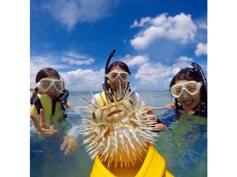 [沖繩/碧瀨] 很多美麗的珊瑚和魚♪推薦給家庭的浮潛計劃！ !!の紹介画像
