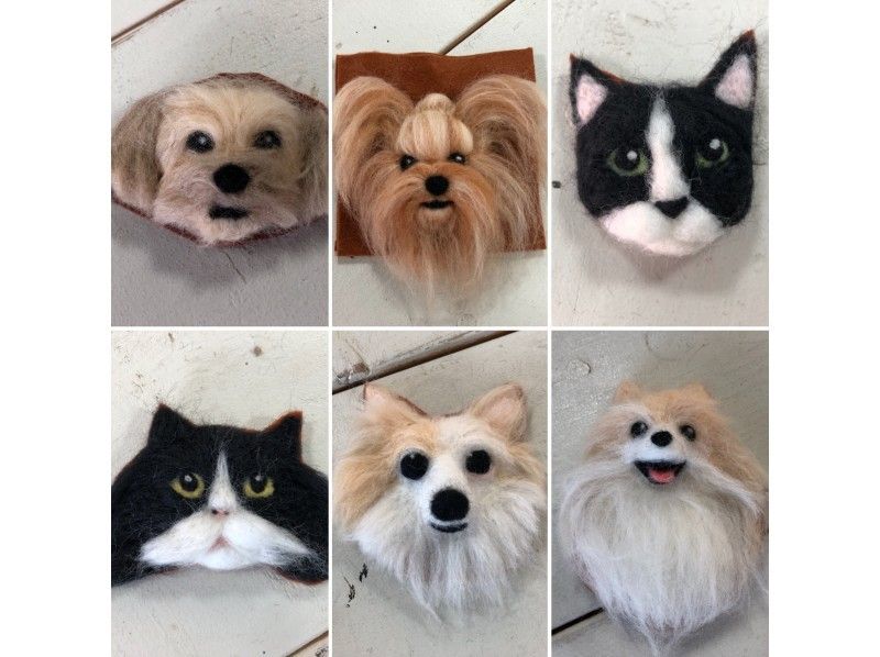 [โตเกียว・ คุระมะเอะ ・ สะพานอาซากุสะ] สุนัขที่น่ารักและแท้จริงของแมวรัก! Wool รู้สึกถึงประสบการณ์แน่นอนの紹介画像