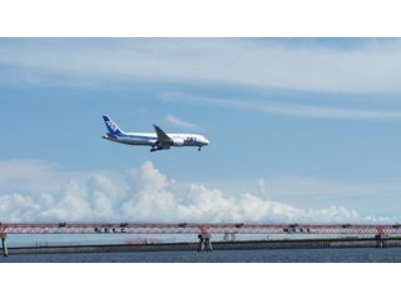 羽田空港・航空機海上観覧クルーズ&横浜中華街・北京ダック専門店で点心コース全8品!の紹介画像