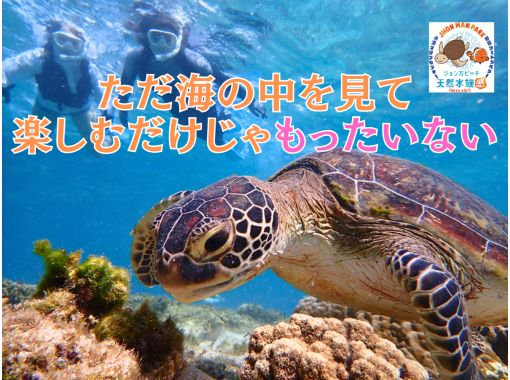 【那覇・糸満周辺】「探して、見つけて、夢中になる自然体験シュノーケリングinジョン万ビーチ」★泳げなくてもOK★送迎可★保温対策充実★ 【那覇・糸満周辺】「探して、見つけて、夢中になる自然体験シュノーケリングinジョン万ビーチ」★泳げなくてもOK★送迎可★保温対策充実★
