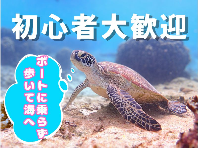  About 30 minutes from Naha. Same-day and last-minute reservations OK. [Pick-up available, for beginners, ages 3-70]. A tour of a natural aquarium with over 100 kinds of fish and sea turtles.の紹介画像