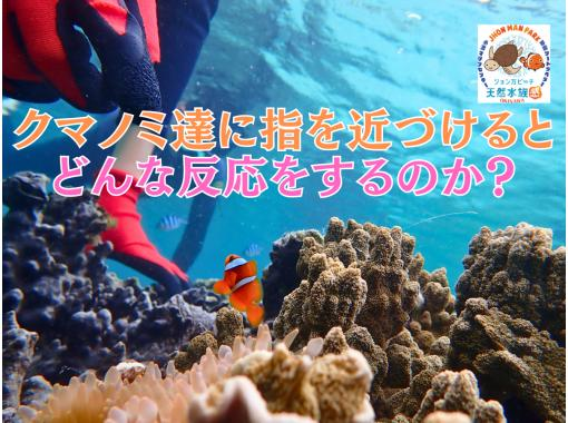 【那覇・糸満周辺】「探して、見つけて、夢中になる自然体験シュノーケリングinジョン万ビーチ」★泳げなくてもOK★送迎可★保温対策充実★ 【那覇・糸満周辺】「探して、見つけて、夢中になる自然体験シュノーケリングinジョン万ビーチ」★泳げなくてもOK★送迎可★保温対策充実★