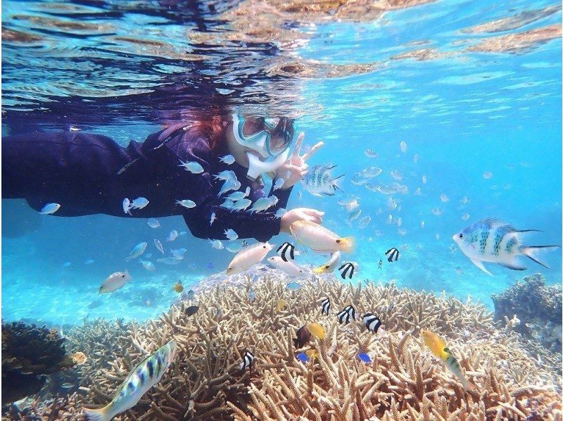  【☆送迎付き・初心者向け・3～70歳可☆】ウミガメ・クマノミがいる天然水族館ツアー（ジョン万ビーチ）プロガイドが案内するシュノーケリング☆の紹介画像