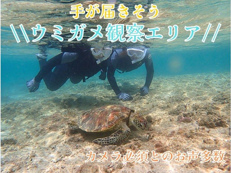  【☆送迎可・初心者向け・3～70歳可☆】ウミガメ・クマノミがいる天然水族館ツアー（ジョン万ビーチ）プロガイドが案内するシュノーケリング☆の紹介画像