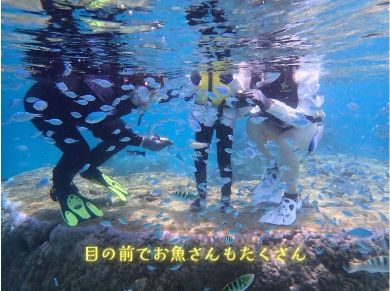  【☆送迎付き・初心者向け・3～70歳可☆】ウミガメ・クマノミがいる天然水族館ツアー（ジョン万ビーチ）プロガイドが案内するシュノーケリング☆の紹介画像