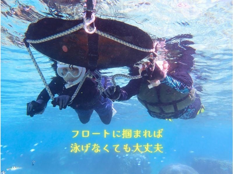  【☆送迎付き・初心者向け・3～70歳可☆】ウミガメ・クマノミがいる天然水族館ツアー（ジョン万ビーチ）プロガイドが案内するシュノーケリング☆の紹介画像