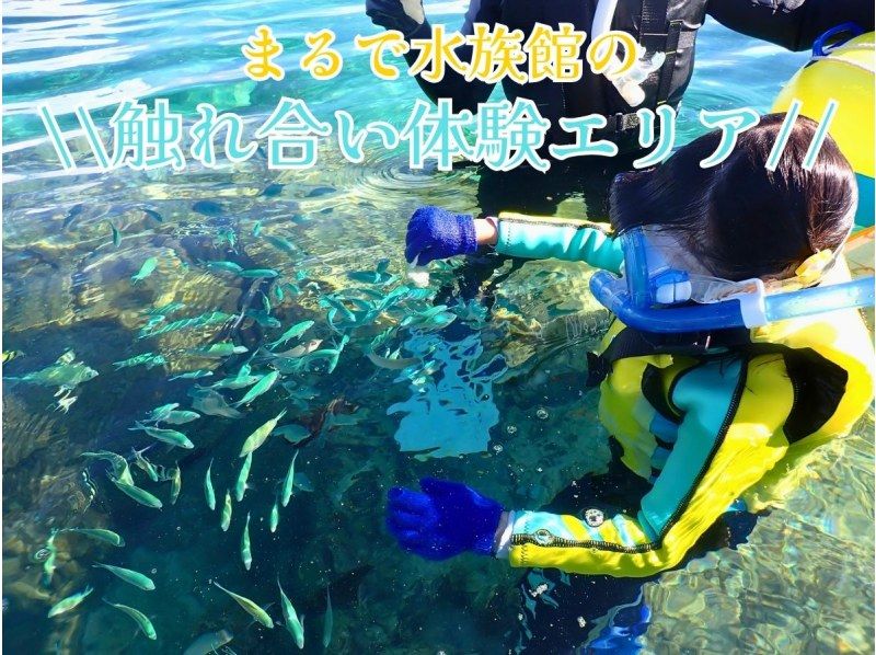  【☆送迎可・初心者向け・3～70歳可☆】ウミガメ・クマノミがいる天然水族館ツアー（ジョン万ビーチ）プロガイドが案内するシュノーケリング☆の紹介画像