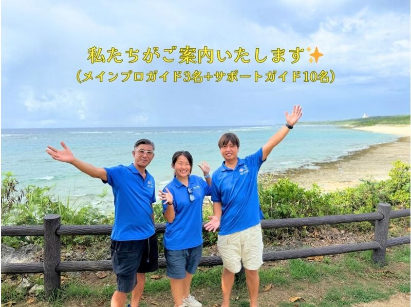  【☆送迎付き・初心者向け・3～70歳可☆】ウミガメ・クマノミがいる天然水族館ツアー（ジョン万ビーチ）プロガイドが案内するシュノーケリング☆の紹介画像