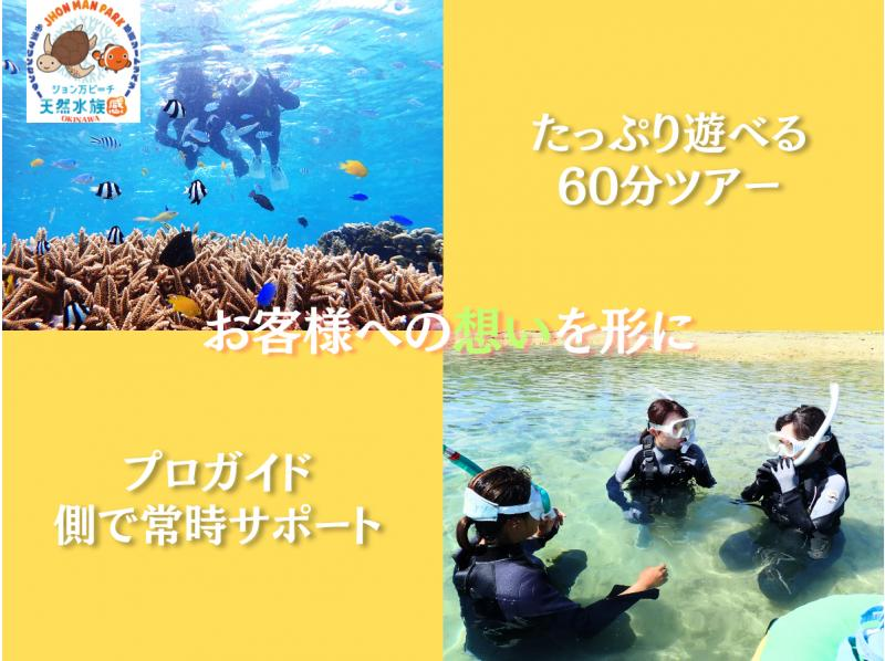 【那覇・糸満周辺】☆創業10周年☆まるで天然の水族館⁉ウミガメ＆100種類以上お魚シュノーケリング★安心サポートプラン★送迎可★の紹介画像