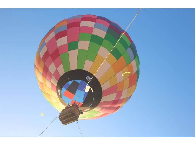 [Tochigi City] Pets allowed! A tethered experience where you can learn about hot air balloons and have a photogenic experience, balloon workshop!の紹介画像