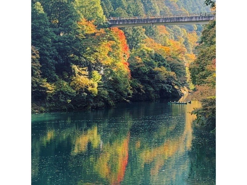 【東京奥多摩・白丸湖でカヤック体験】湖畔のプライベート空間でゆったり少人数で楽しめる！初心者・初級クラスの紹介画像