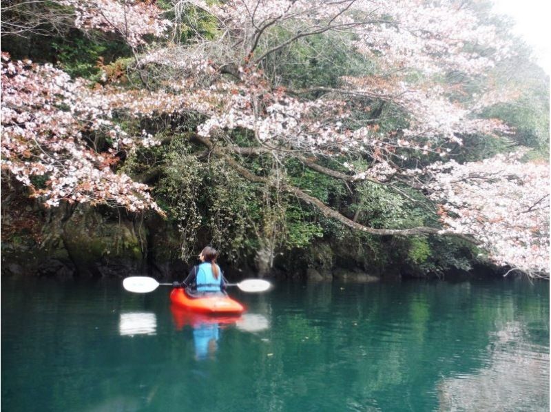 [東京在多摩河上劃獨木舟課程]初級經驗課の紹介画像