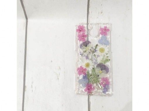 Pink Daisy Pressed Real Dried Flowers, Pressed Flower, Dried Flower, Resin Flower, Flower for Resin Craft, Japanese Flower, Flower for  Crafting