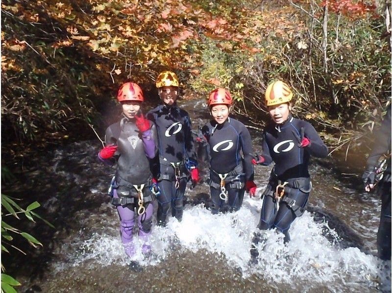 【富山・神岡】キャニオニング（ロングコース）ビギナーの紹介画像