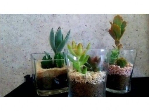 愛知 名古屋 讓我們做一個 綠色雞尾酒 自由安排植物 帶飲料 Activityjapan 愛知 名古屋 讓我們做一個 綠色雞尾酒 自由安排植物 帶飲料 Activityjapan