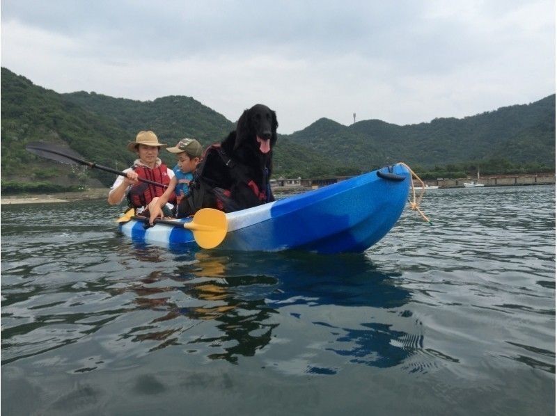 犬とカヌー カヤック を楽しもう ペットも参加できる関東 関西のオススメツアーを紹介 ペトこと