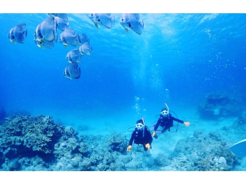 [커플 가장 인기있는 코스! 반나절 10000엔] 돌담 블루 체험다이빙& 환상의 섬 상륙 슈노の紹介画像