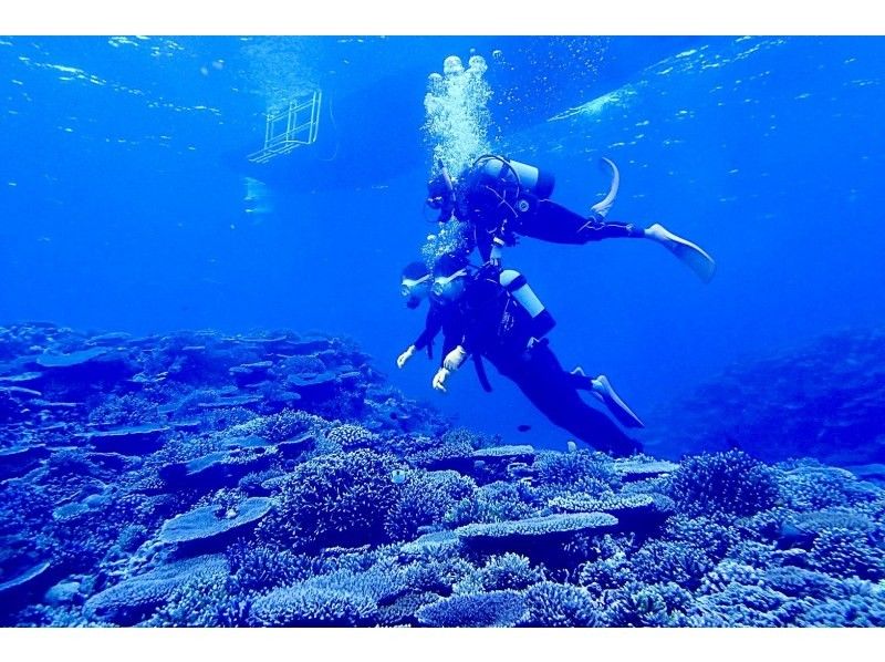 [couple popular half-day 10000 yen plan] Experience Diving & Phantom Island Landing