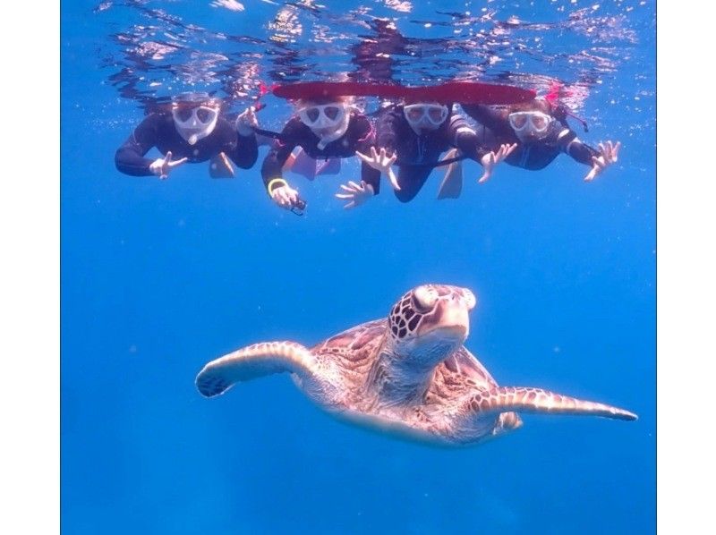 【失敗しない海デビュー｜石垣島】体験ダイビング＆ウミガメシュノーケリング｜半日11,000円の紹介画像