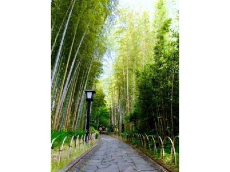 [Shizuoka ・ Nakaizu] ★ Enjoy a 15km downhill! ★ C1-Downhill Cycling Shuzenji Course [half-day]の紹介画像