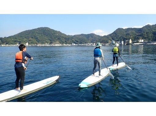 静岡 沼津 伊豆長岡 ボードに立って海をゆらゆら いま注目のsupを体験 初心者コース 半日 アクティビティジャパン