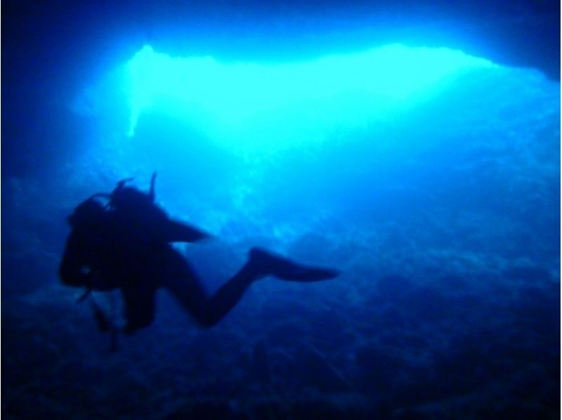 Blue cave experience diving & all-you-can-play courseの紹介画像