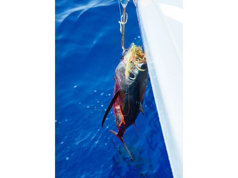 Payao钓鱼体验课程の紹介画像