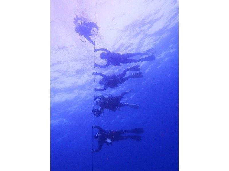 [Fukuoka 】fan Diving<2 dives> [with roundtrip transportation to the sea! ]の紹介画像