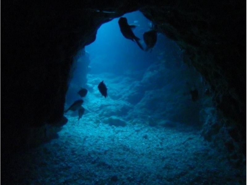 [沖繩恩納]體驗潛水（藍色洞穴課程）の紹介画像