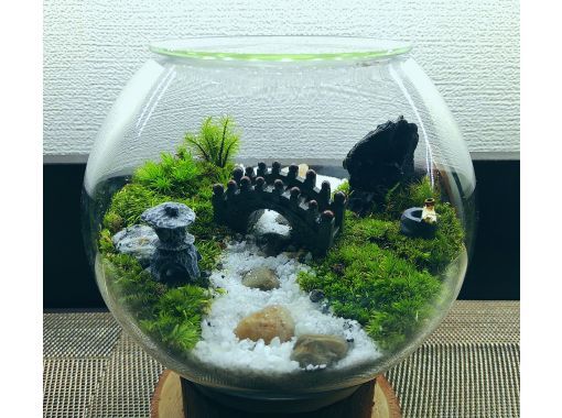 東京 新宿御苑前駅 広がる自然 苔 の世界 風景テラリウム 創作講座 アクティビティジャパン