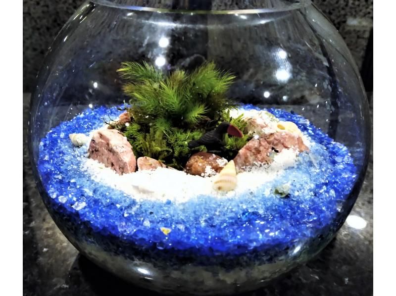 [Tokyo/ Shinjuku] Expanding nature! Moss terrarium (cute glass ball) creation experience ♪
