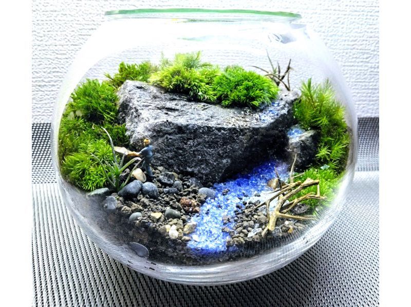 [Tokyo/ Shinjuku] Expanding nature! Moss terrarium (cute glass ball) creation experience ♪の紹介画像