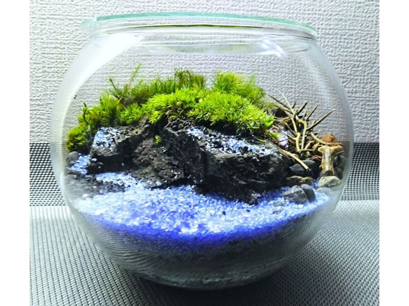 [东京/新宿]不断扩展的自然！苔藓玻璃容器（可爱的玻璃球）创作体验♪の紹介画像