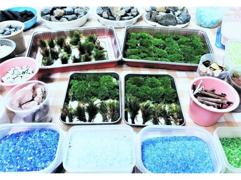 [Tokyo/ Shinjuku] Expanding nature! Moss terrarium (cute glass ball) creation experience ♪の紹介画像