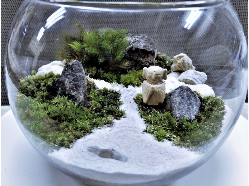 [Tokyo/ Shinjuku] Expanding nature! Moss terrarium (cute glass ball) creation experience ♪の紹介画像
