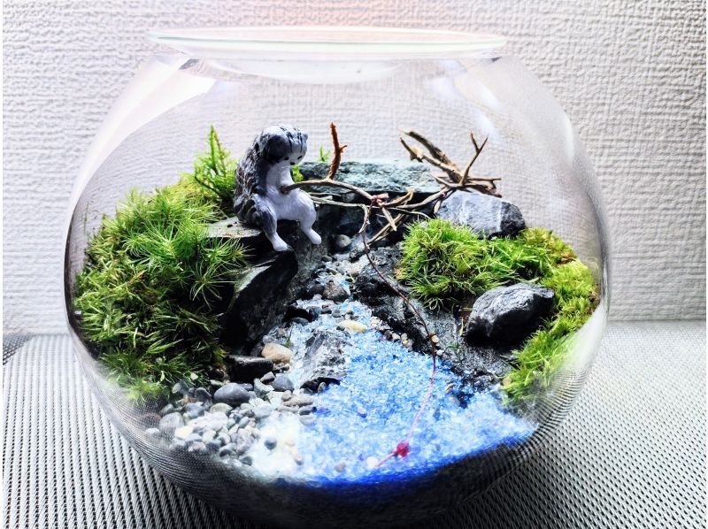 [Tokyo/ Shinjuku] Expanding nature! Moss terrarium (cute glass ball) creation experience ♪の紹介画像