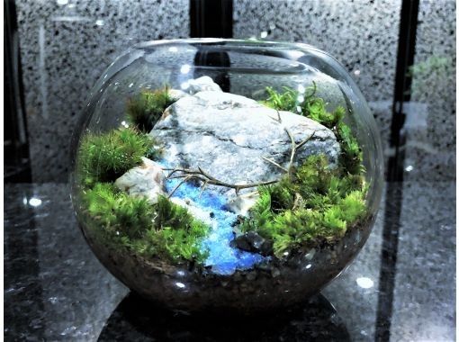 東京 新宿御苑前駅 広がる自然 苔 の世界 風景テラリウム 創作体験 アクティビティジャパン 東京 新宿御苑前駅 広がる自然 苔 の世界 風景テラリウム 創作体験 アクティビティジャパン