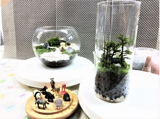 東京 新宿御苑前駅 広がる自然 苔 の世界 風景テラリウム 創作体験 アクティビティジャパン 東京 新宿御苑前駅 広がる自然 苔 の世界 風景テラリウム 創作体験 アクティビティジャパン