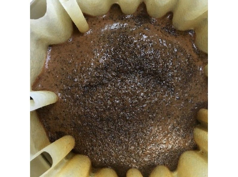 [东京浅草]大人教室-更美味！使用各种各样的器具的“咖啡手滴＆压技术”の紹介画像