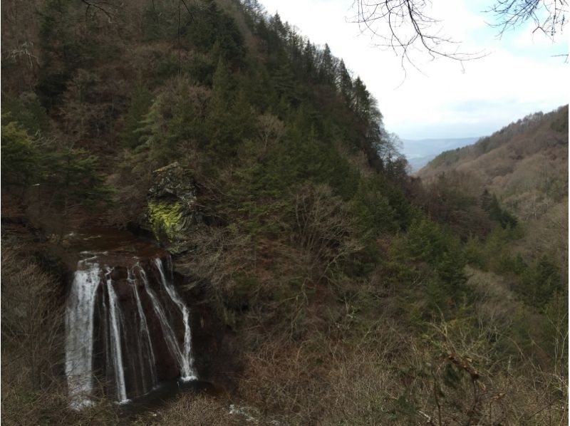 【長野・蓼科】新緑や紅葉の季節もおすすめ！渓谷を歩きながら名瀑をめぐる！横谷峡ハイキングの紹介画像