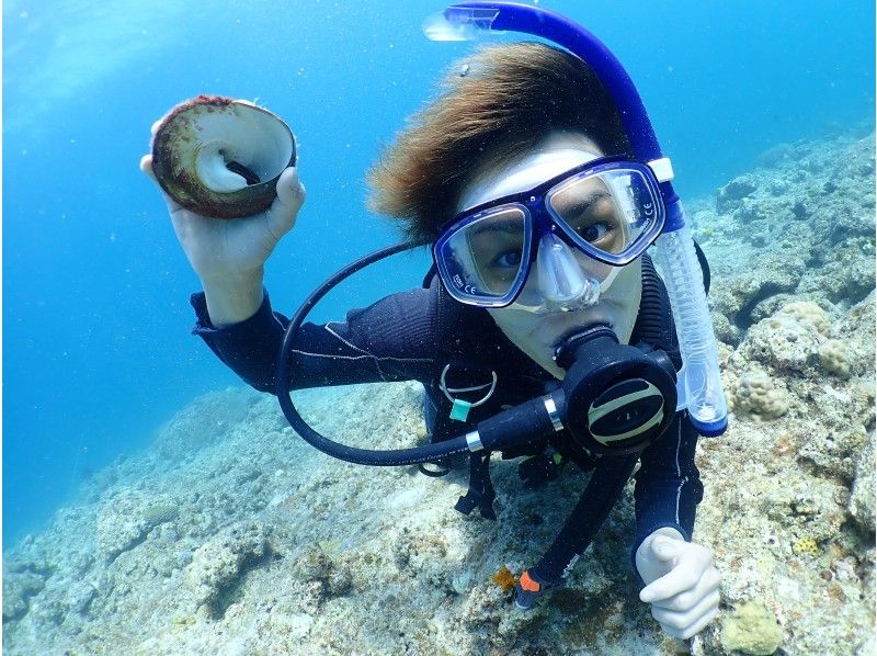 [Okinawa Ishigaki island]half-day experience Diving|underwater photo gift!