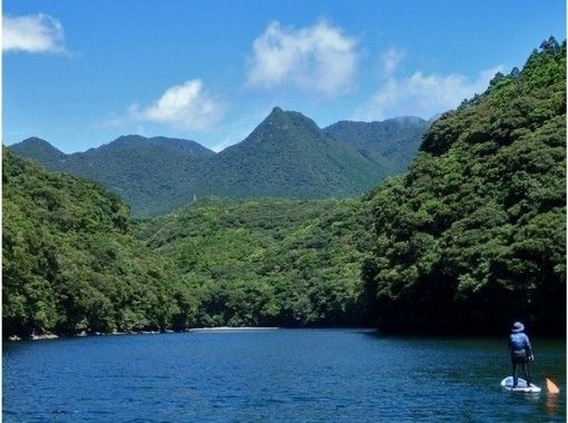 鹿児島・屋久島】地域共通クーポン利用O.K！世界遺産のロケーションで 