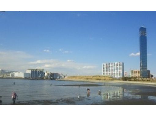 千葉 幕張 おしゃれなレンタサイクルで街や海辺を駆け抜ける 幕張エリア アクティビティジャパン 千葉 幕張 おしゃれなレンタサイクルで街や海辺を駆け抜ける 幕張エリア アクティビティジャパン