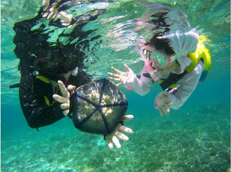 [沖縄·Bise]從3歲開始享受！易浮潛の紹介画像