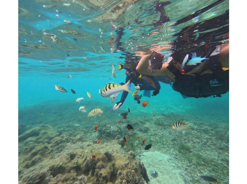 【沖縄・備瀬】お手軽ビーチシュノーケリングの紹介画像